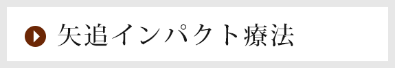 矢追インパクト療法