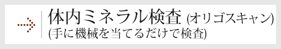 体内ミネラル検査（オリゴスキャン）